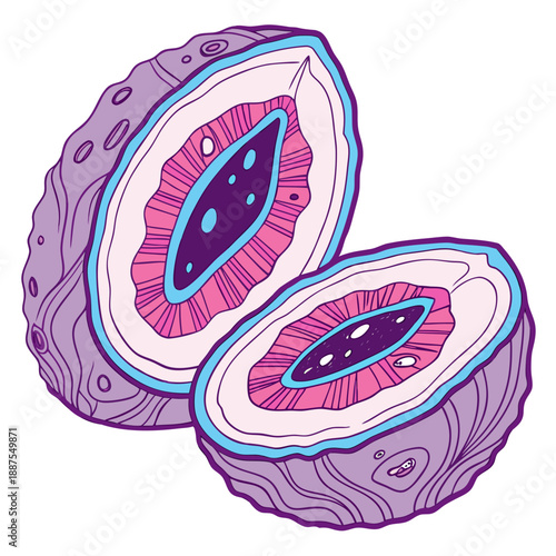 Cross-section of a cell