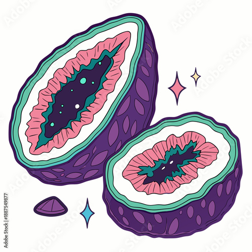 Vibrant dragon fruit illustration