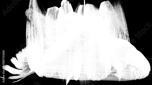 brush stroke transition alpha
