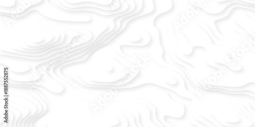 Pattern with lines the stylized height of the topographic map contour in lines and contours isolated on layers. White topography curve lines map isolated on white background.