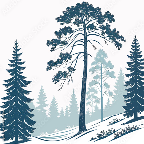 Winter forest silhouette