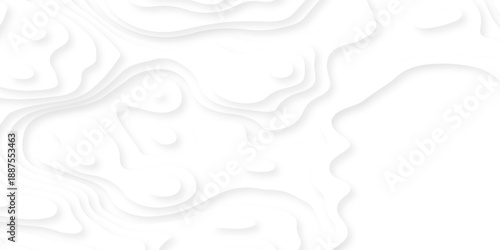 Pattern with lines the stylized height of the topographic map contour in lines and contours isolated on layers. White topography curve lines map isolated on white background.