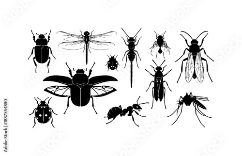 Insect Silhouettes Collection