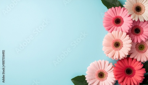 季節の花のポストカードをイメージした背景画像