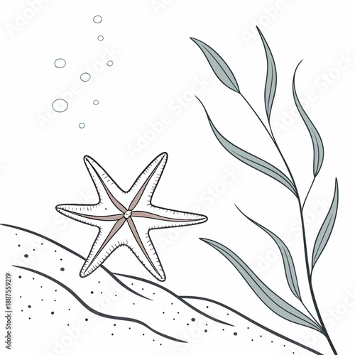 Underwater marine life illustration