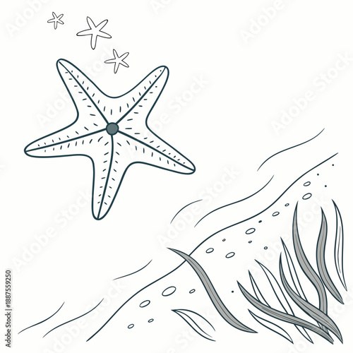 Starfish on the ocean floor