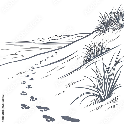 Desert footprints