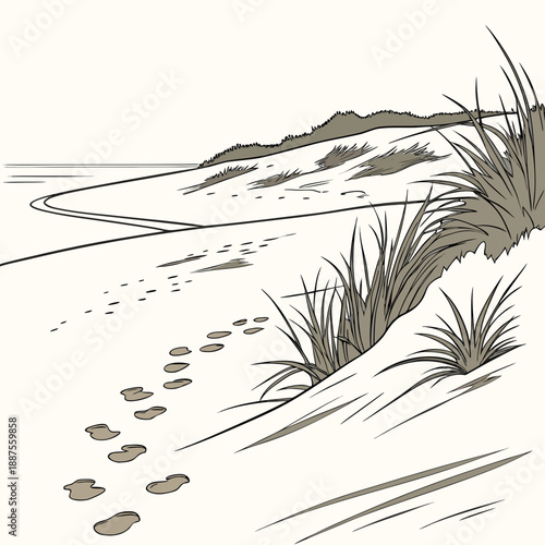 Footprints in the sand