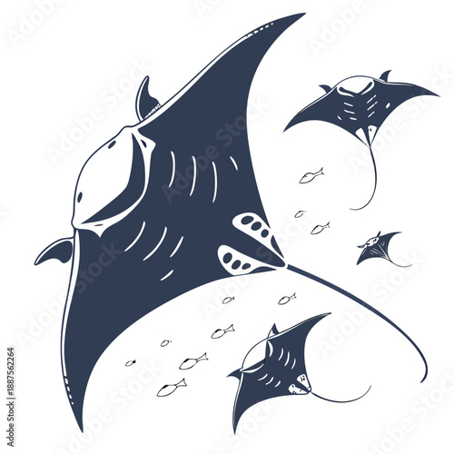 Giant manta rays swimming with schools of fish