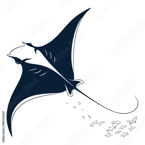 Manta ray swimming with fish