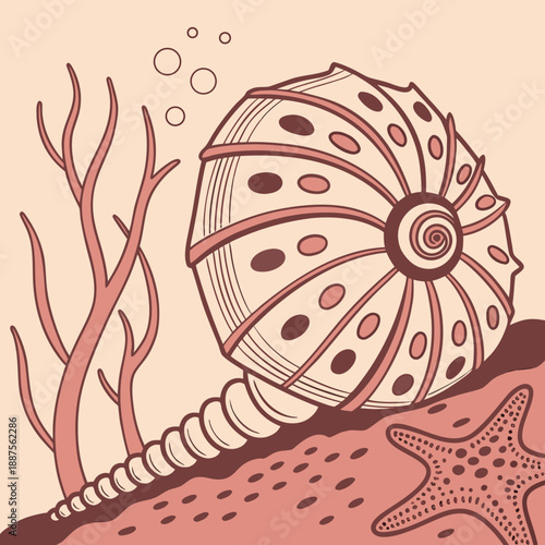Underwater marine life illustration
