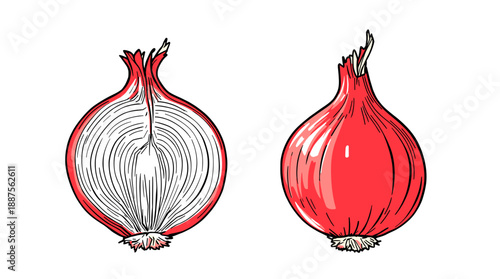 A detailed illustration of a red onion, one whole and one cut in half to reveal its layered interior.