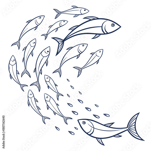 School of fish swimming