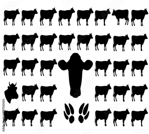 A striking visual arrangement of silhouettes depicts a herd of cows and a lone bull with foliage