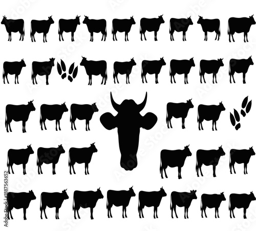 A collection of black silhouette illustrations depicting various cow poses and a prominent bull head shape