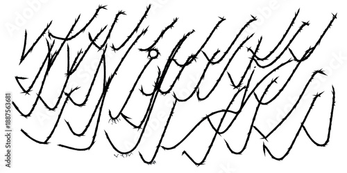 Intricate black calligraphy art on white background