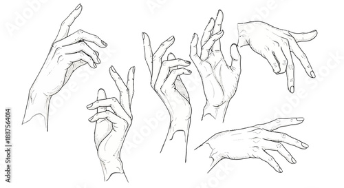 Various Hand Gestures Illustrated in Simple Line Art.