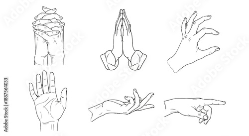 Collection of Hand Gestures and Positions Illustrated in Simple Line Art.