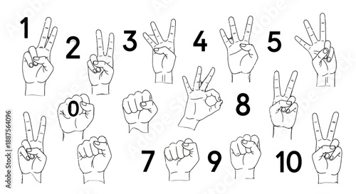 Hand Gestures Showing Numbers from 0 to 10 in Simple Line Art.