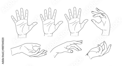 Line drawings of hands in various gestures and positions.