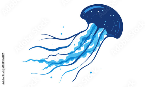 浮遊しているクラゲ