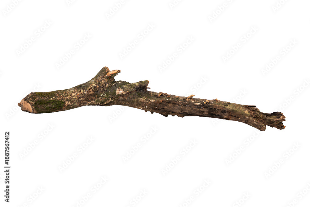 Fototapeta premium Weathered Wooden Branch with Metal Attachment, Resembling a Shark with Fin, Crafted from Natural and Plant Materials for Artistic Expression On Transparent Background.