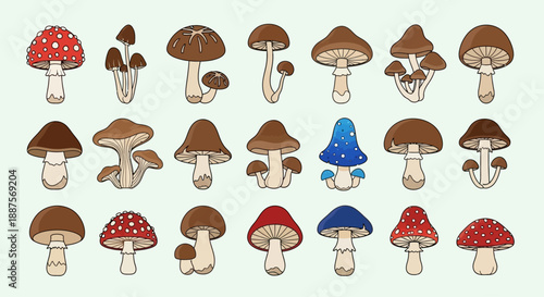 Cartoon Fungi and Toadstool Illustration Set