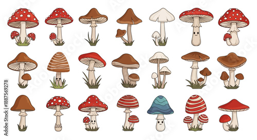 Cartoon Fungi and Toadstool Illustration Set