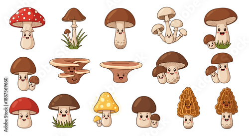 Cartoon Fungi and Toadstool Illustration Set
