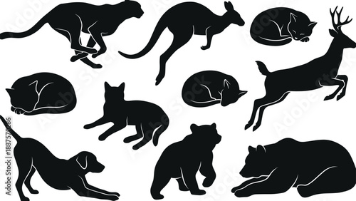 Wild animal silhouette collection showing running, jumping and resting poses of big cats, deer, dogs and bears illustrating wildlife motion and behavior isolated on white background