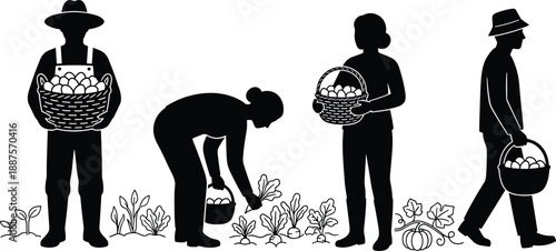 Farmer and gardener silhouettes harvesting vegetables illustration set, rural agriculture activities concept, traditional farming lifestyle icons, black solid figures isolated on white background