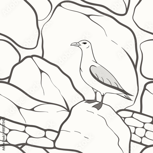 Seagull on rocky terrain