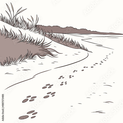 Serene beach with animal tracks