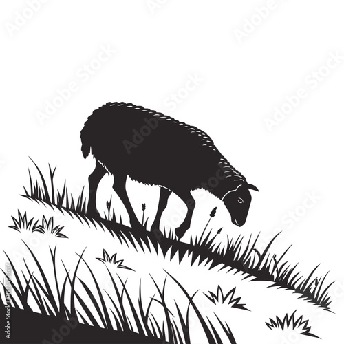 Silhouette of a sheep grazing