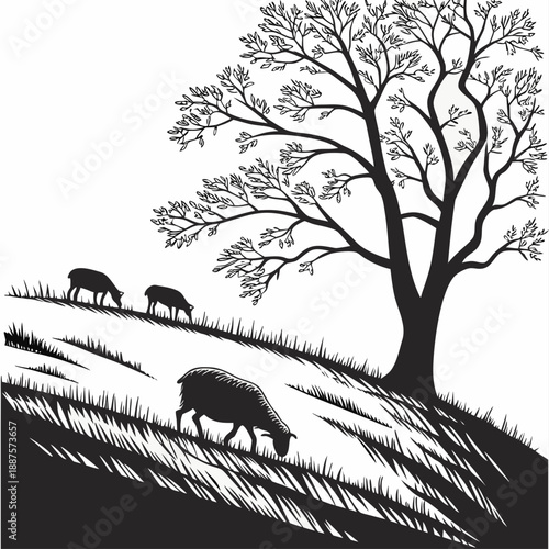 Pastoral scene with sheep grazing
