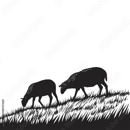 Silhouette of sheep grazing