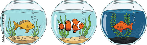 Aquarium fish bowl cartoon vector set. Cute pet fish swimming in glass bowls with plants. Colorful aquatic illustration for kids design, education, and decoration.