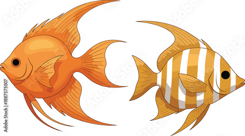 Elegant tropical fish cartoon vector set. Colorful aquarium fish with flowing fins and stripes. Exotic marine illustration for ocean design, wildlife, and aquatic projects.