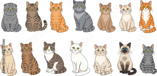 Cute cat breeds cartoon vector set. Adorable kittens in different colors and fur patterns. Flat pet cat illustrations for kids design, education, and animal projects.