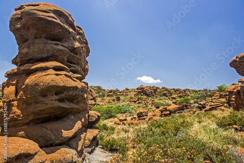 Foto A landscape scattered with strange weathered Quartzite pillars in the Magaliesberg Mountains of South Africa on a clear sunny summers day
