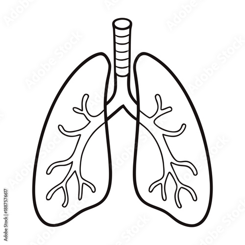 The lungs are vital organs that exchange oxygen and carbon dioxide, supporting breathing, energy, and overall body health. Healthy lungs keep us alive and active.
