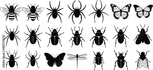 Insect and arachnid silhouette icon set with spider butterfly bee beetle and dragonfly for nature biology and pest control vector