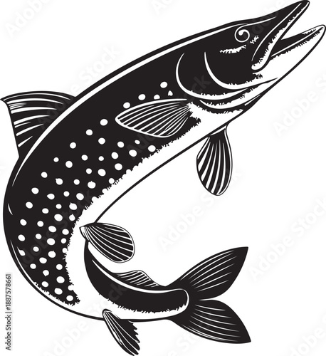 vector illustration of a fish