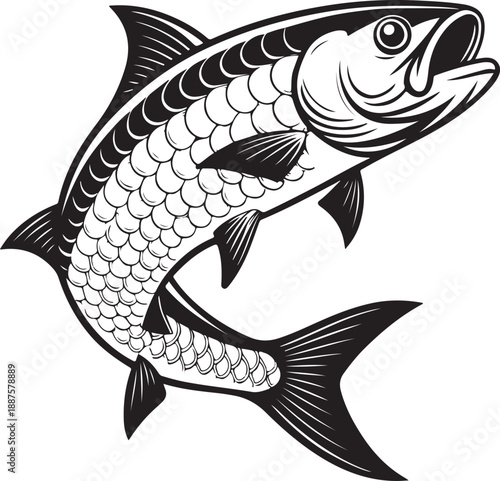vector illustration of a fish