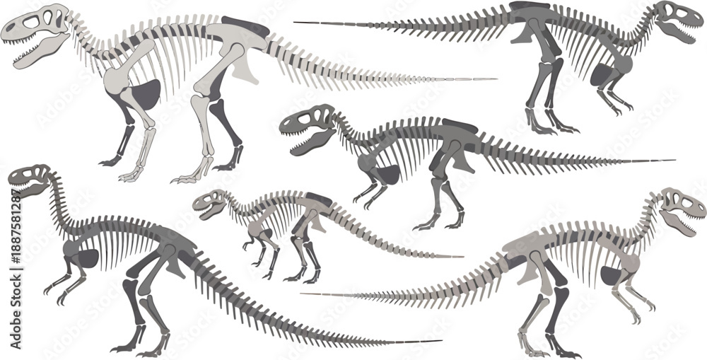 Obraz premium Collection of Dinosaur Skeletons Illustrating Prehistoric Life and Paleontology Discoveries