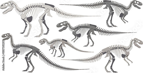 Collection of Dinosaur Skeletons Illustrating Prehistoric Life and Paleontology Discoveries