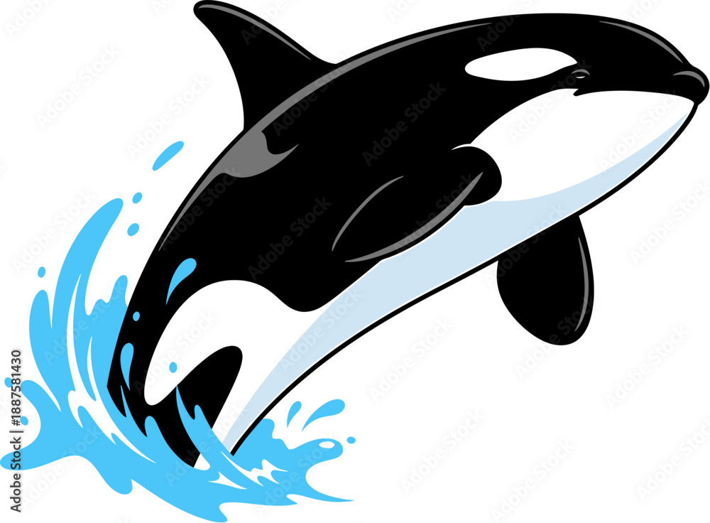 Obraz premium Orca Whale Illustration - A Powerful Killer Whale Leaping From Water in a Dynamic Display