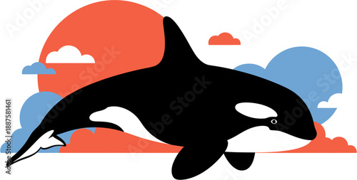 Killer whale orca illustration against a backdrop of clouds and a sunset sky