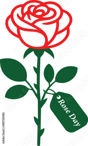 red rose on white Rose Day