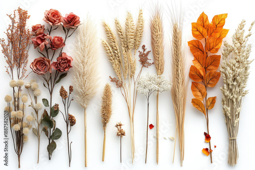 Nature’s Preserved Beauty in a Harmonious Floral Layout